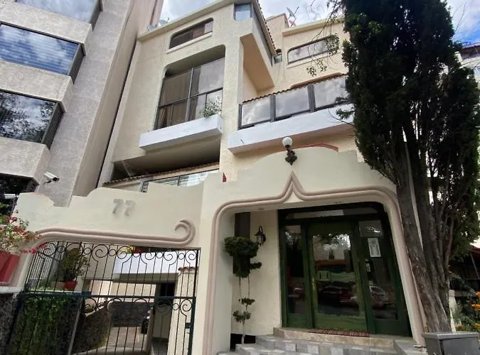 Departamento Tipo Loft Cerca De Hospital Angeles Apartment *